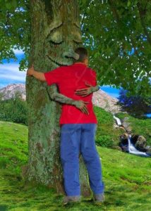 abrazar árboles